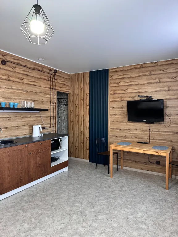 Просторная дружелюбная студия (КакДома на Анны Коньковой)