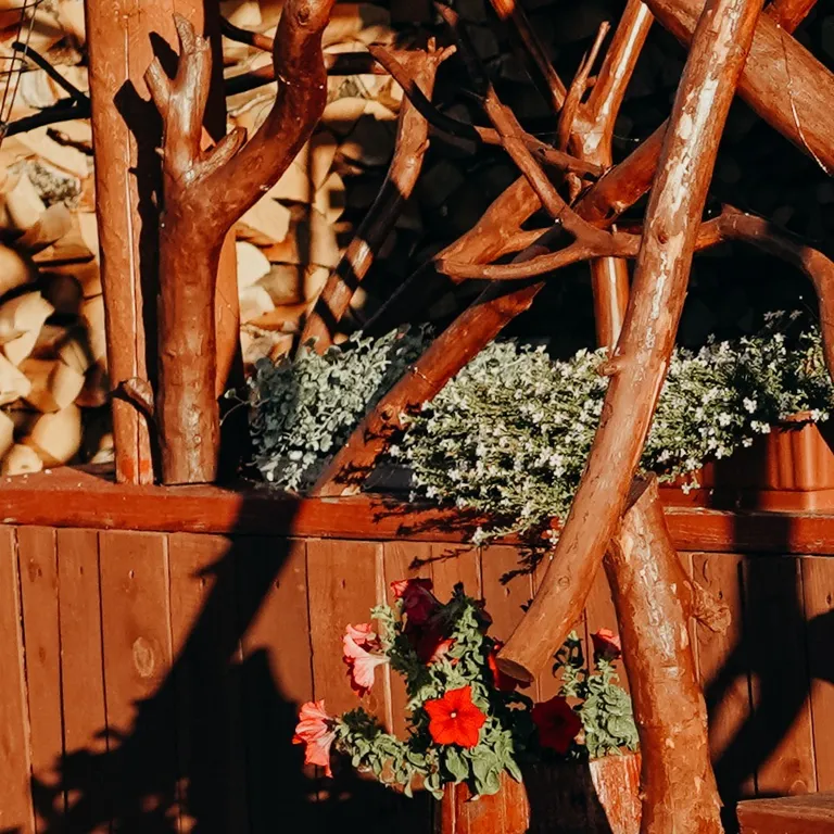 Загородный дом вдали от города