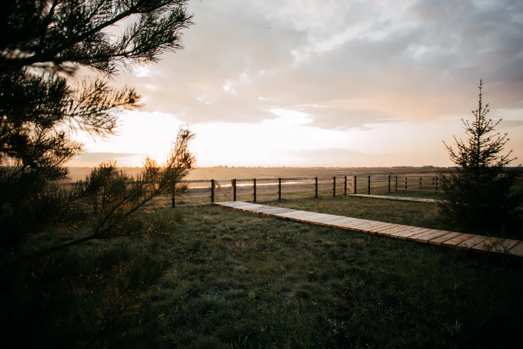 Бурый Медведь