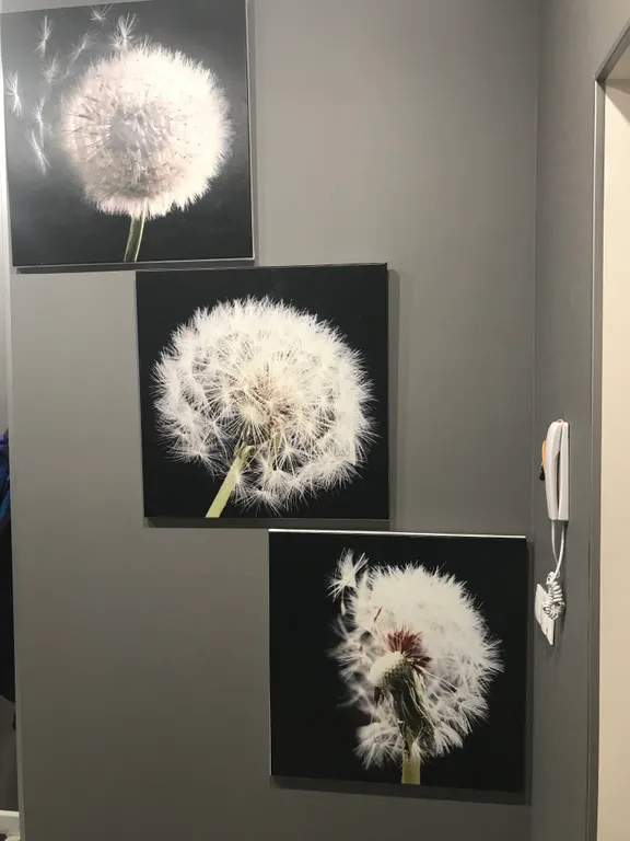 Квартира рядом с аэропортом Внуково