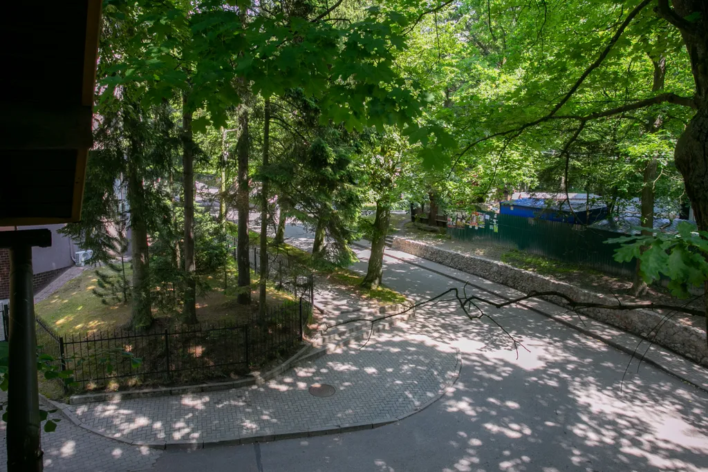 Квартира Квартира Самый центр — Светлогорск