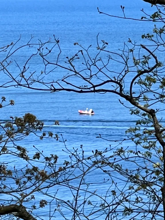 Уютная 2-комнатная квартира на берегу Балтийского моря в Светлогорске