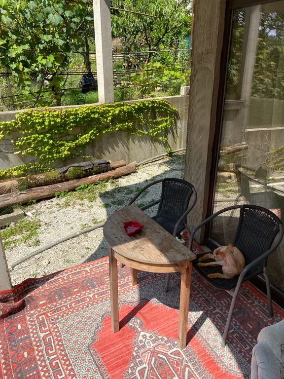 Коттедж Летний дом в зеленом окружении — Сочи