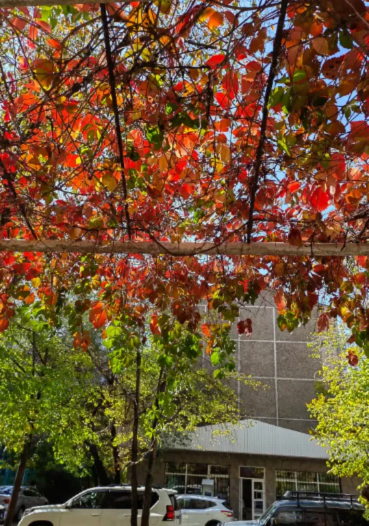 Квартира с изумрудными акцентами