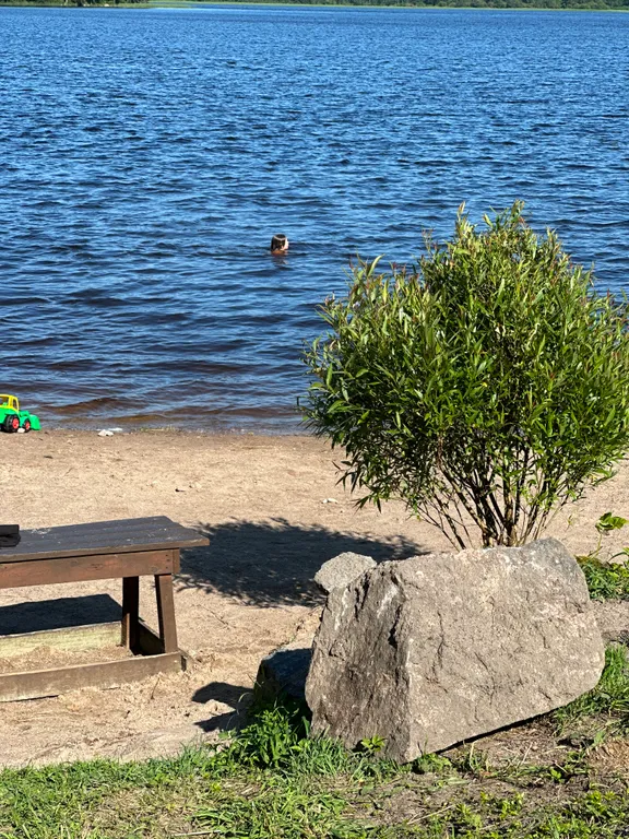 Коттедж Коттедж Дача-студия у озера Выборгский район Ленобласть — Приморск