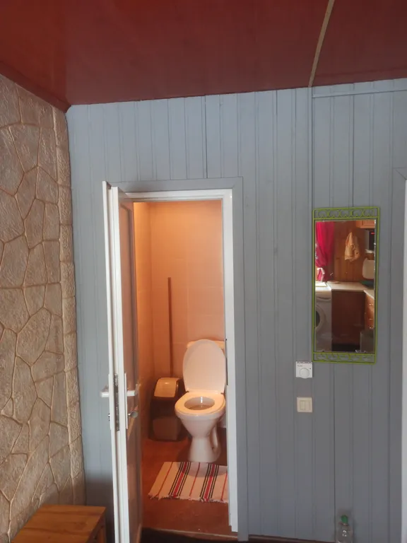 Коттедж в Царевщине