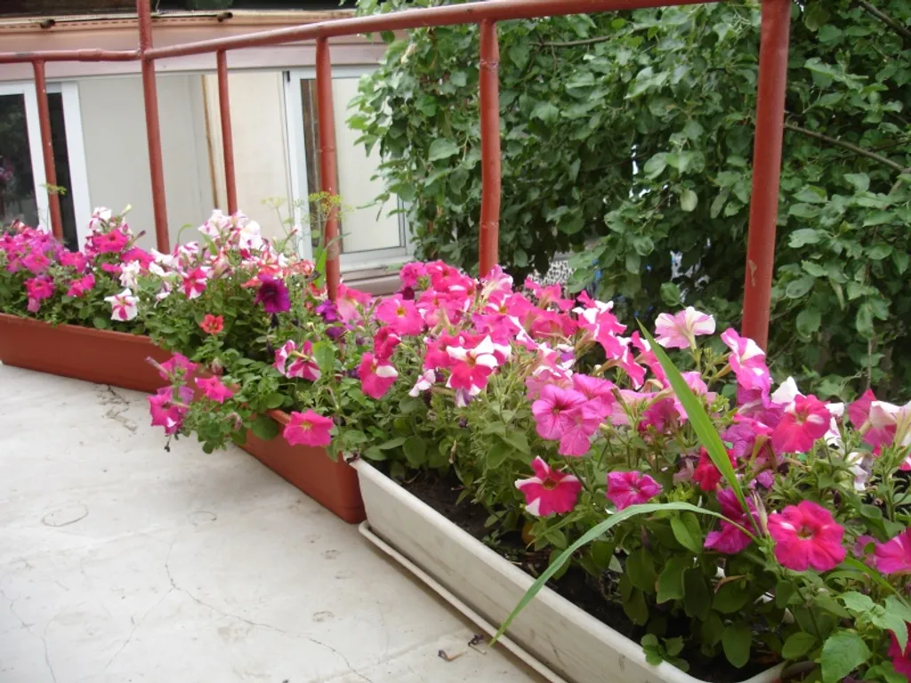 В гостях у сказки 1