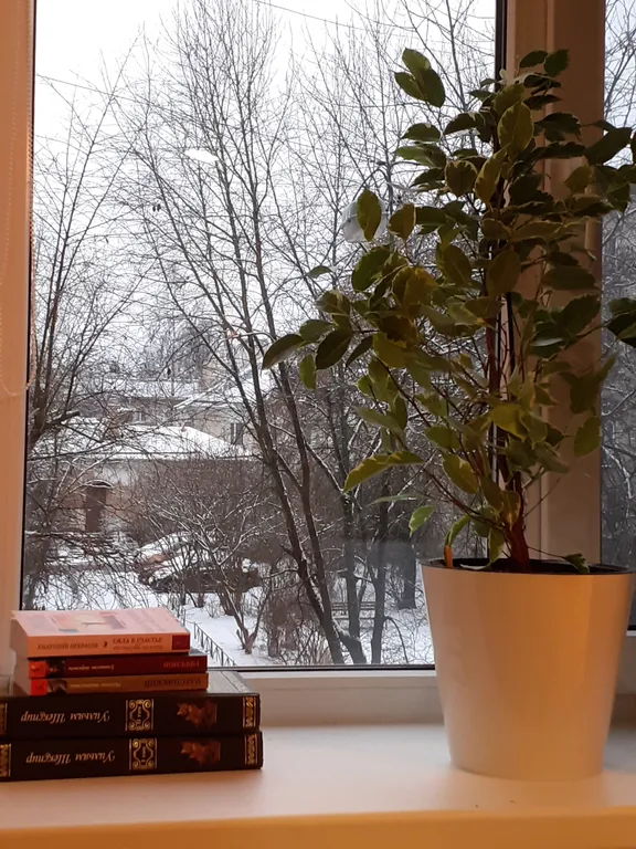 Квартира Квартира Sun Home Apartments — Пушкин