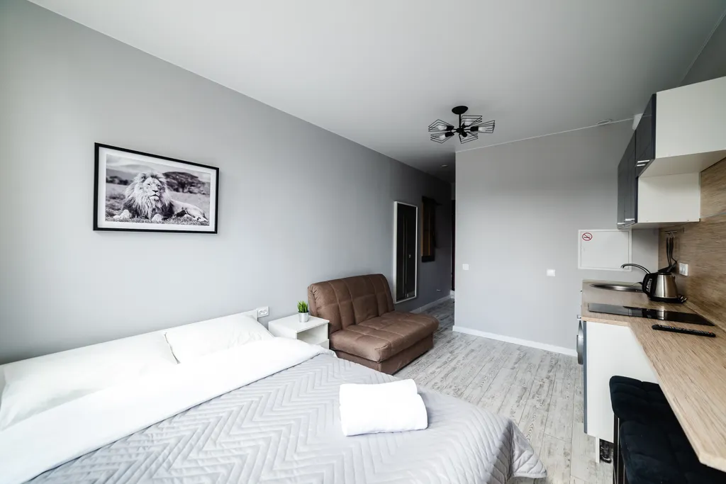 Студия с евроремонтом в центре