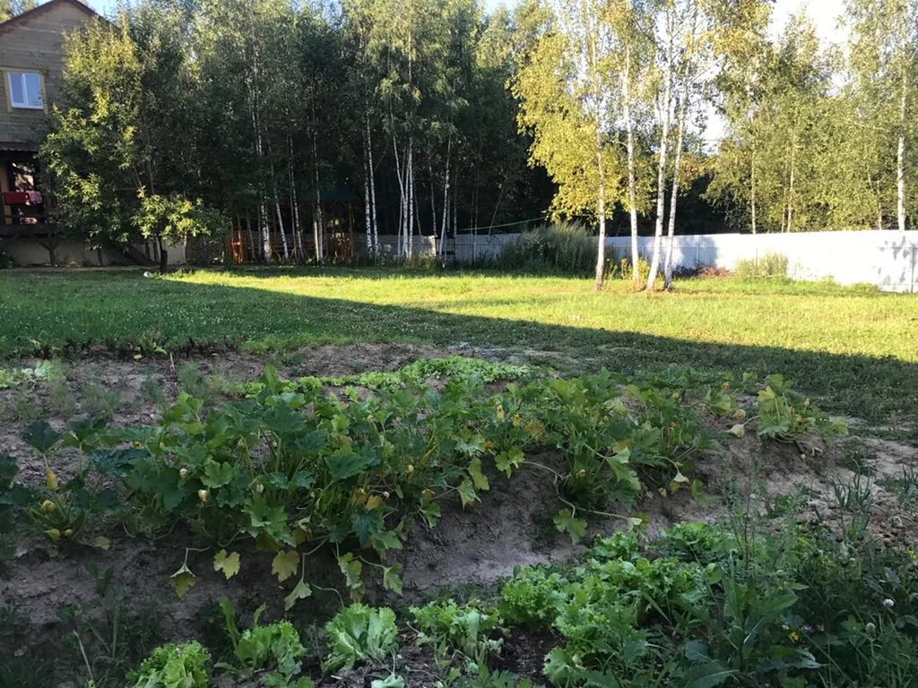 Уютный дом с сауной