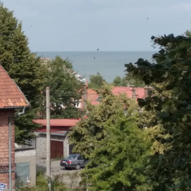 Квартира с видом на море