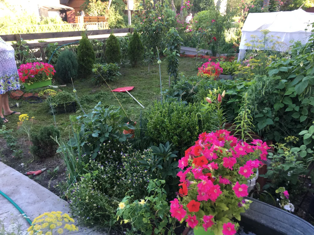 Квартира у моря на Куршской косе