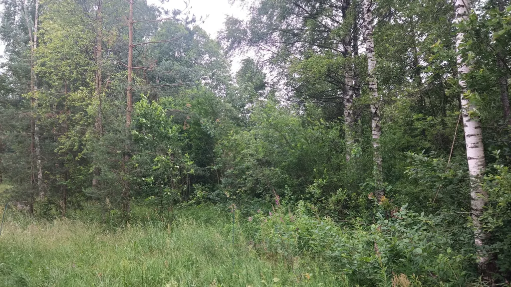 Дом на берегу протоки, ведущей в Вышневолоцкое водохранилище