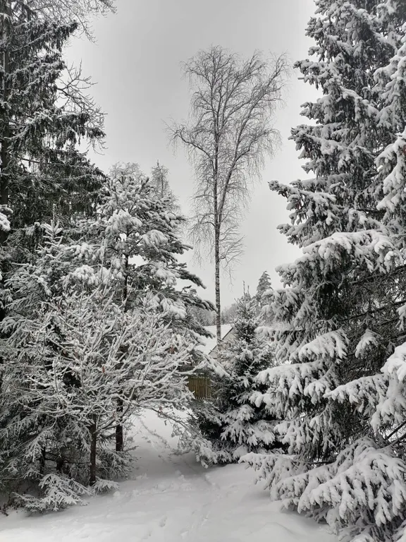 Загородный дом в стиле шале
