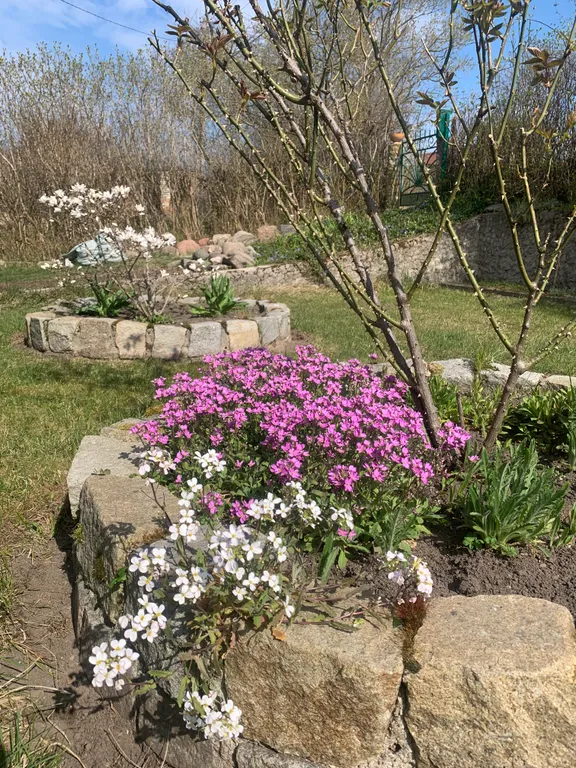 Апартаменты в гостях как дома