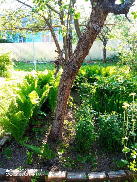 Дом Русское подворье