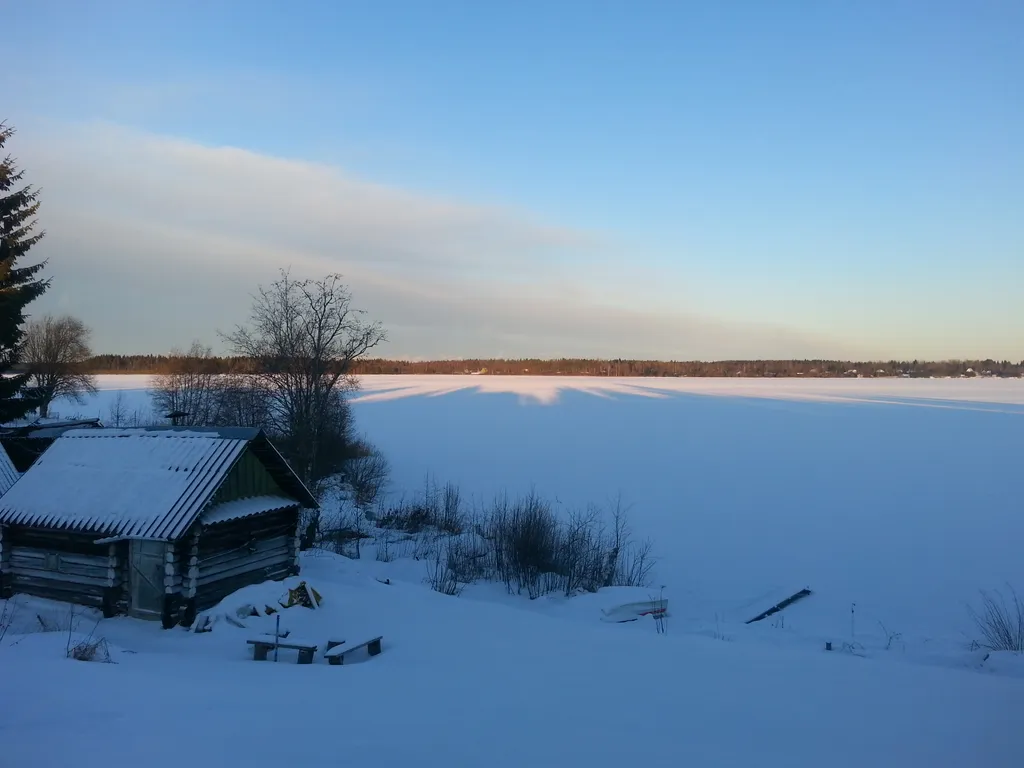Три Галки Дом в саду