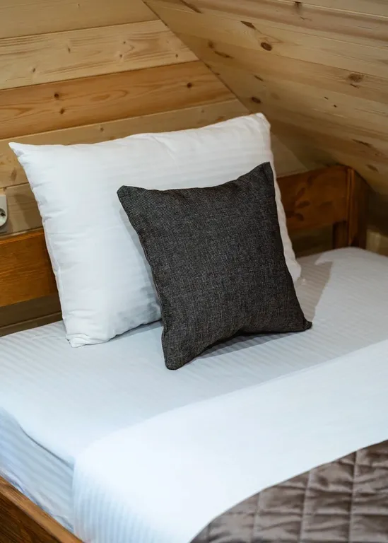 Дом-студия с баней в самом центре Беловежской пущи ( д. Ляцкие)