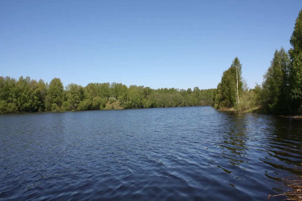 Шале с сауной на берегу реки