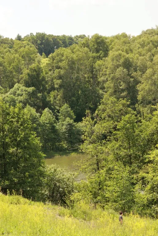 Коттедж Уютный гостевой дом с террасой на берегу озера — Кашира