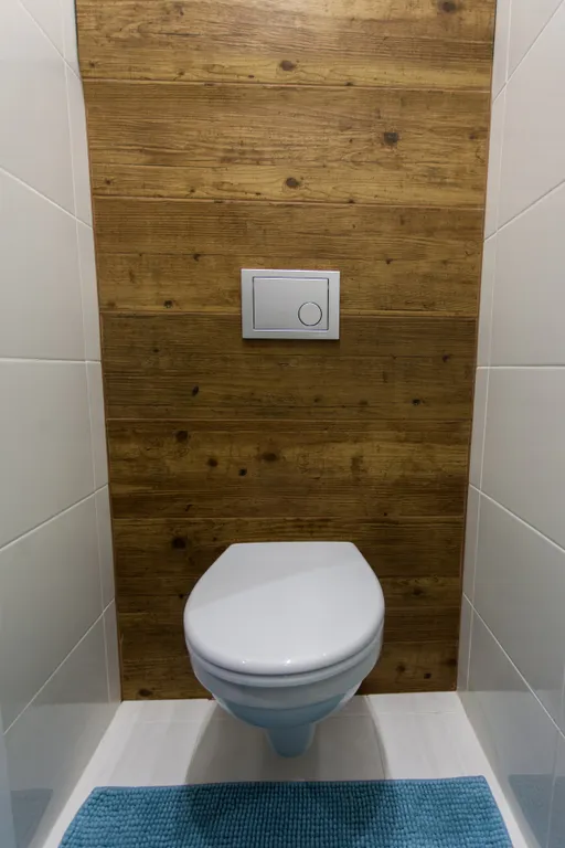 Очень большая квартира с 2 спальнями