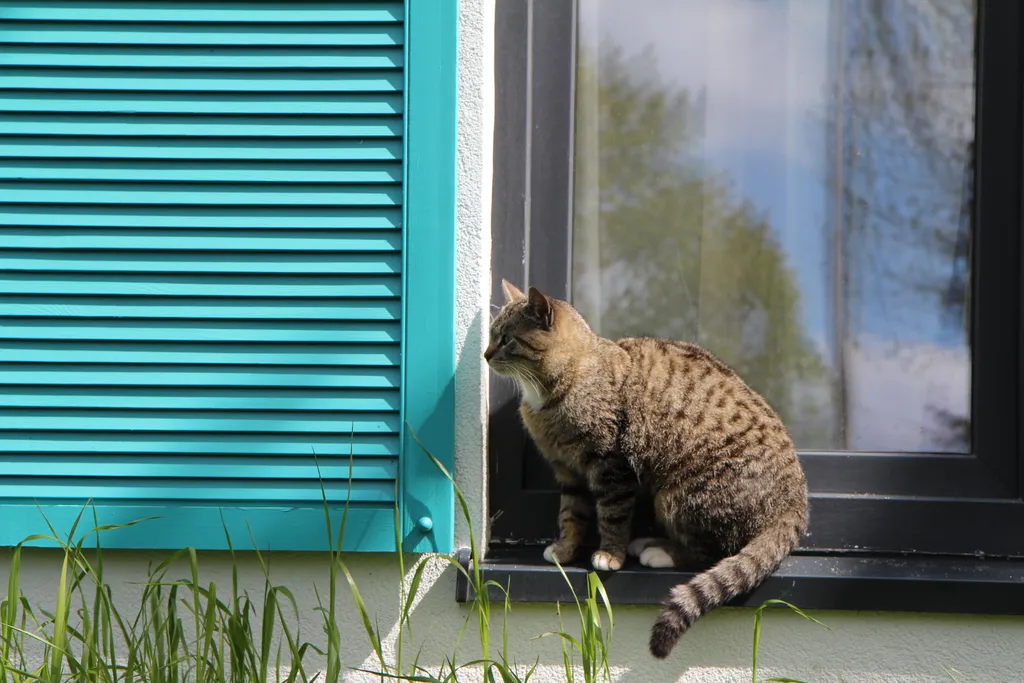 Гестхаус Сон и Море