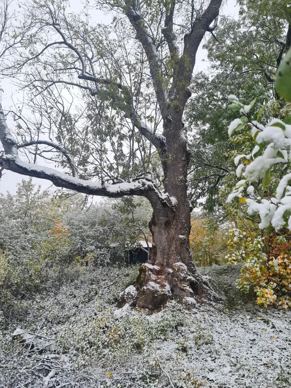 Загородная усадьба