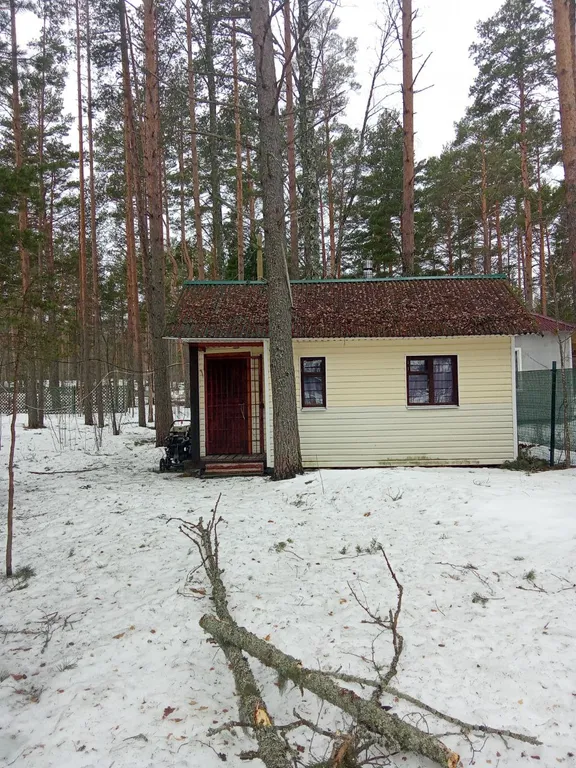 Коттедж Коттедж Дача в Приозерском районе — Приладожское