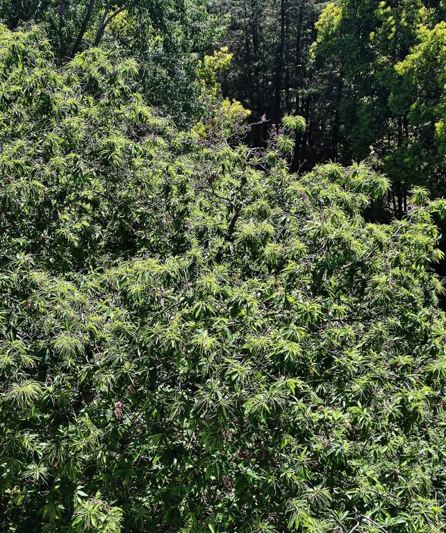 Квартира Квартира Студия в Парке № 3 — Сириус