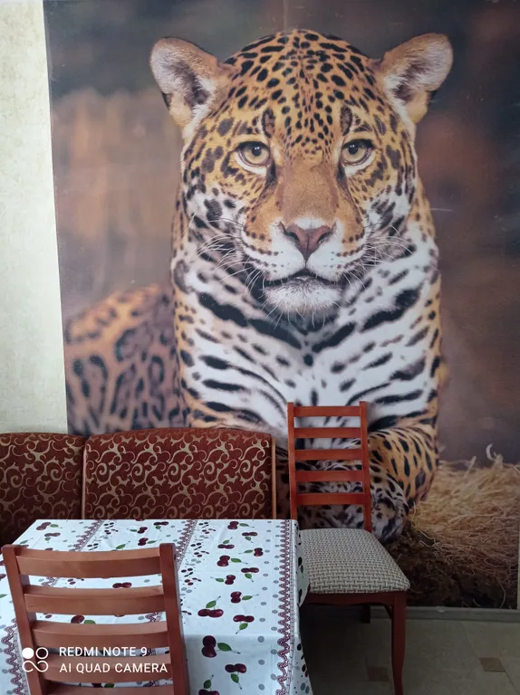 Квартира около онкоцентра имени Цыба