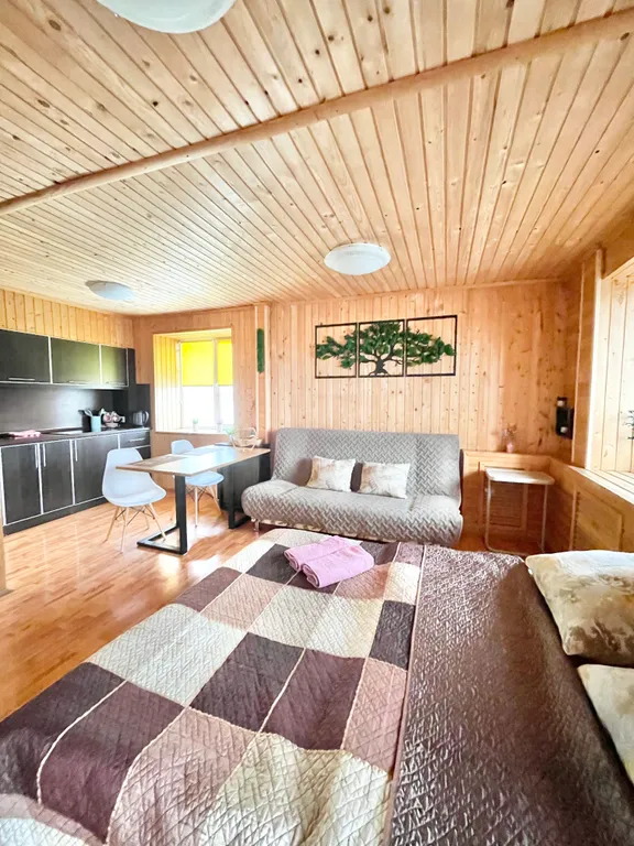 Студия эко-лофт в центре города.