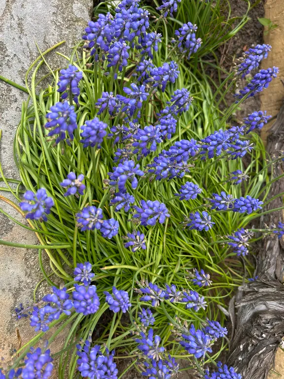 Вилла в тихом центре в шаге от Амалиенау