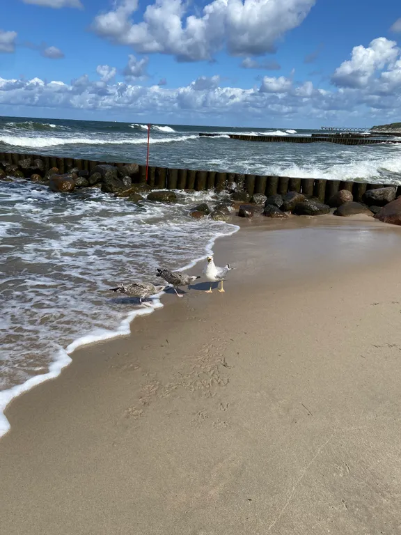 1-комнатная квартира с хорошим ремонтом в 15 мин от Балтийского моря