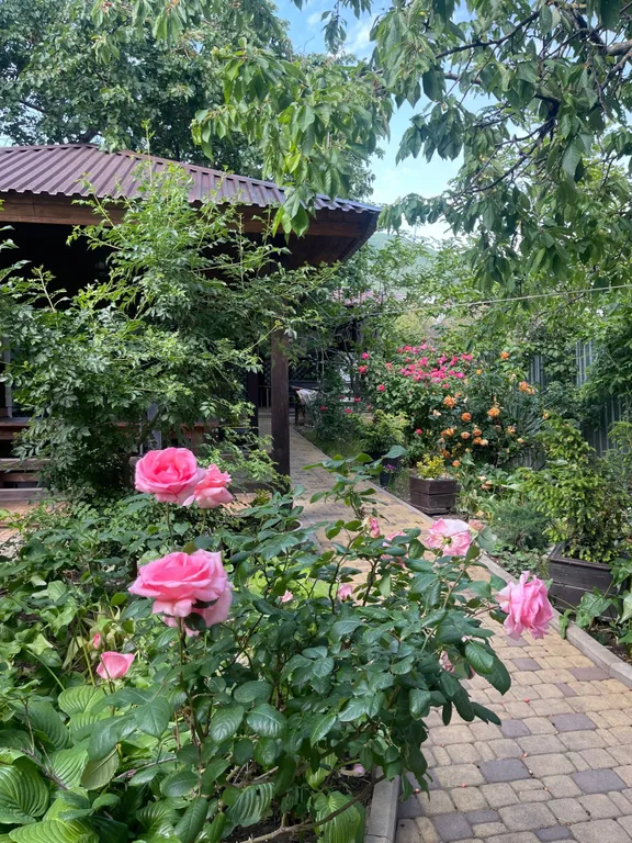 Квартира 1-комнатная Квартира — Геленджик