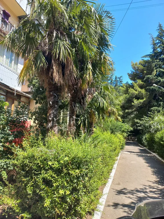 Уютная однокомнатная квартира в Партените