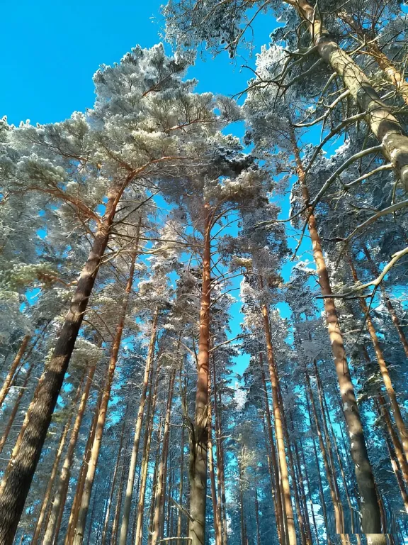 Коттедж Скандинавский дом, Ладога и маяк Vuohensalo в шаговой доступности — Приозерск