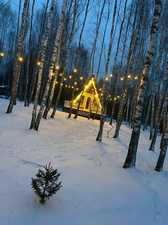 Дом в стиле A-frame