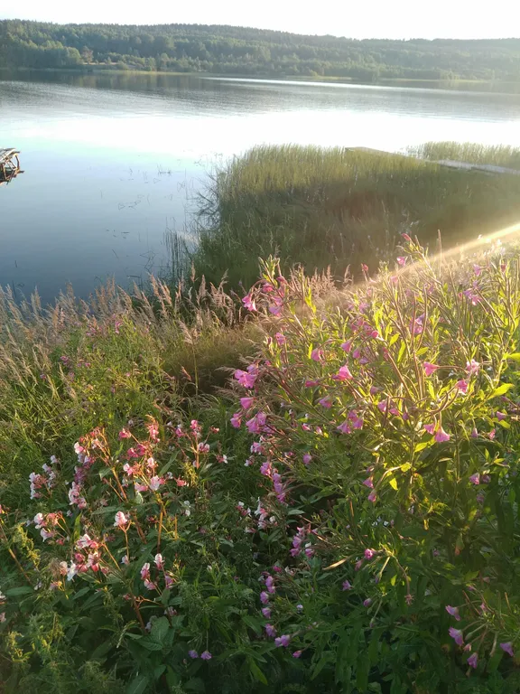 Отдых в видовом месте