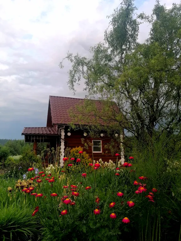 Загородный дом вдали от города