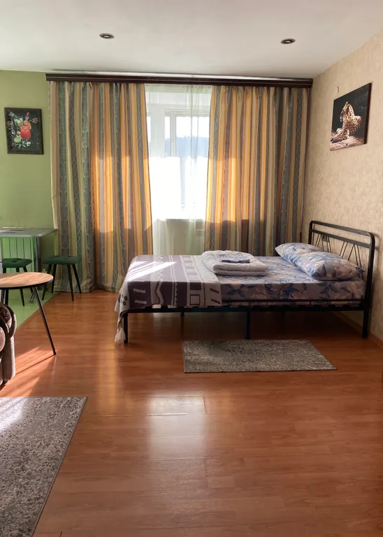 Квартира Квартира Уютная студия в центре с красивым видом — Таштагол