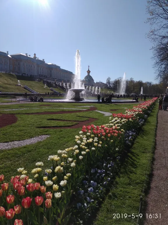 Уютная студия в Петродворцовом районе Санкт-Петербурга в Петергоф
