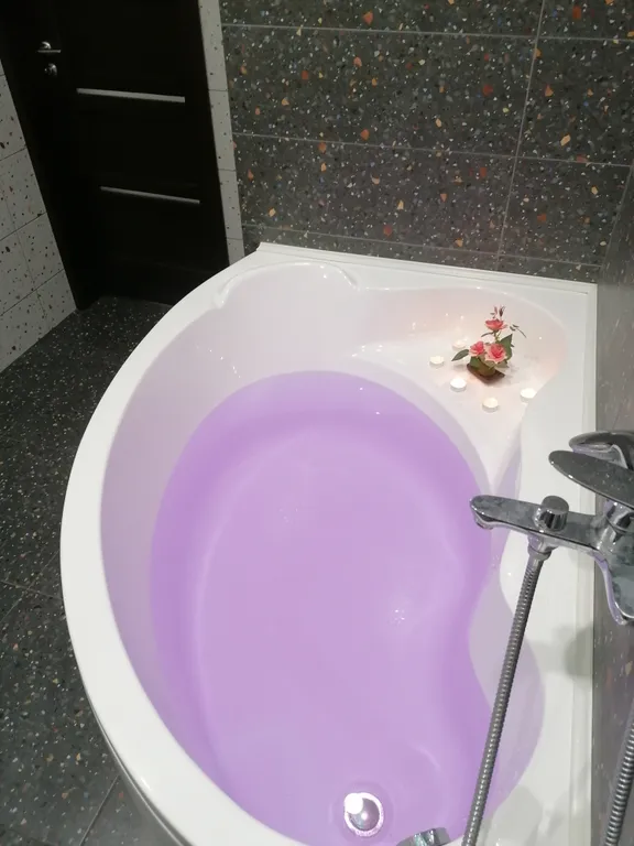 Современная студия с огромной ванной