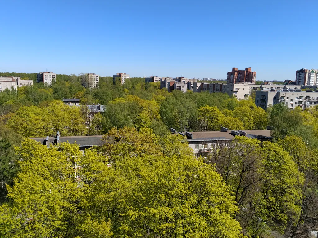 Петербургская квартира с видом на закат