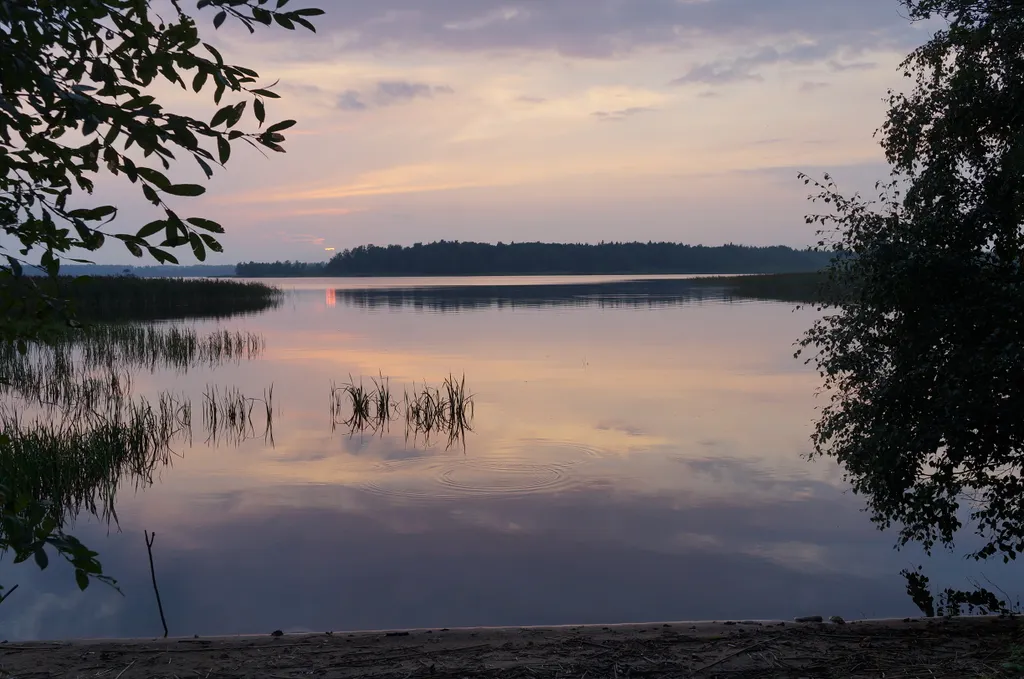 Коттедж Просторный коттедж на Судаковском озере — Ларионово