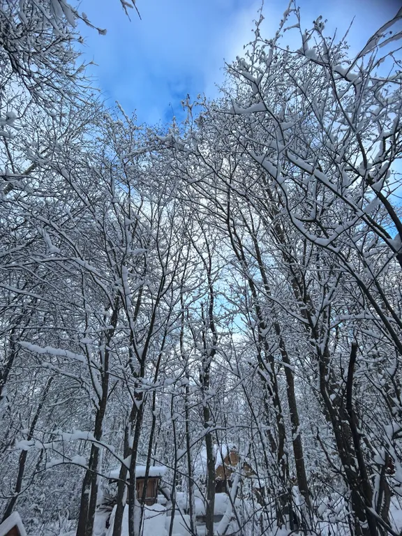 Новый коттедж для отдыха у реки с бассейном и баней