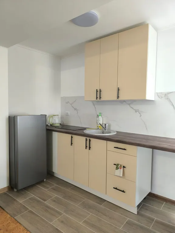 Семейный улучшенный номер-студия со своей кухней