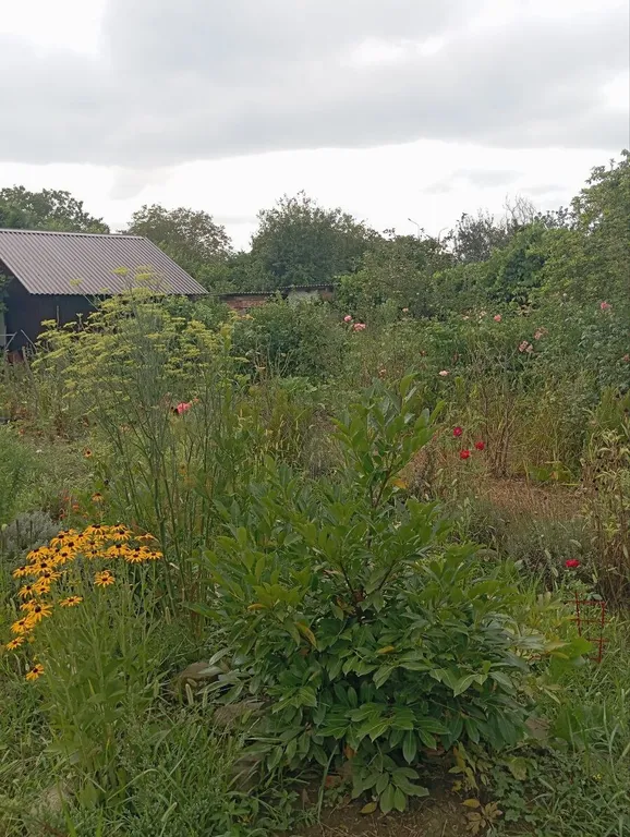 Уютная комната рядом с дольменами