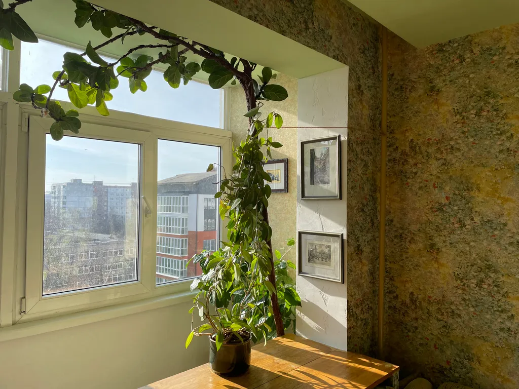 Квартира 3-комнатная Квартира — Калининград