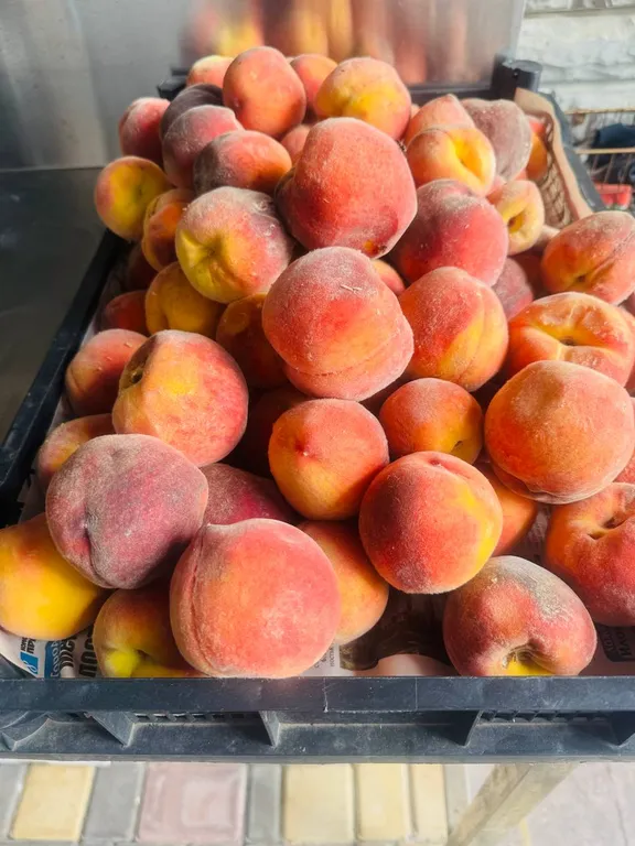 Новая Вилла Нинель возле моря