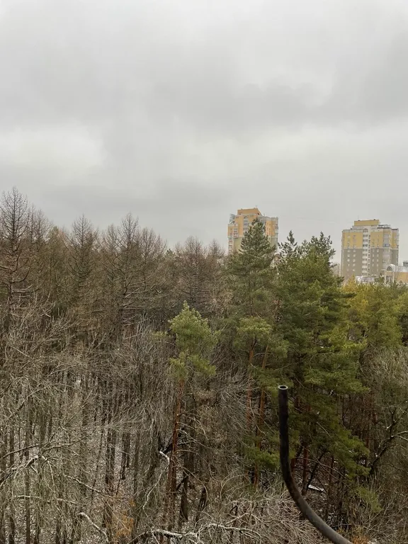 Уютная квартира с видом на парк